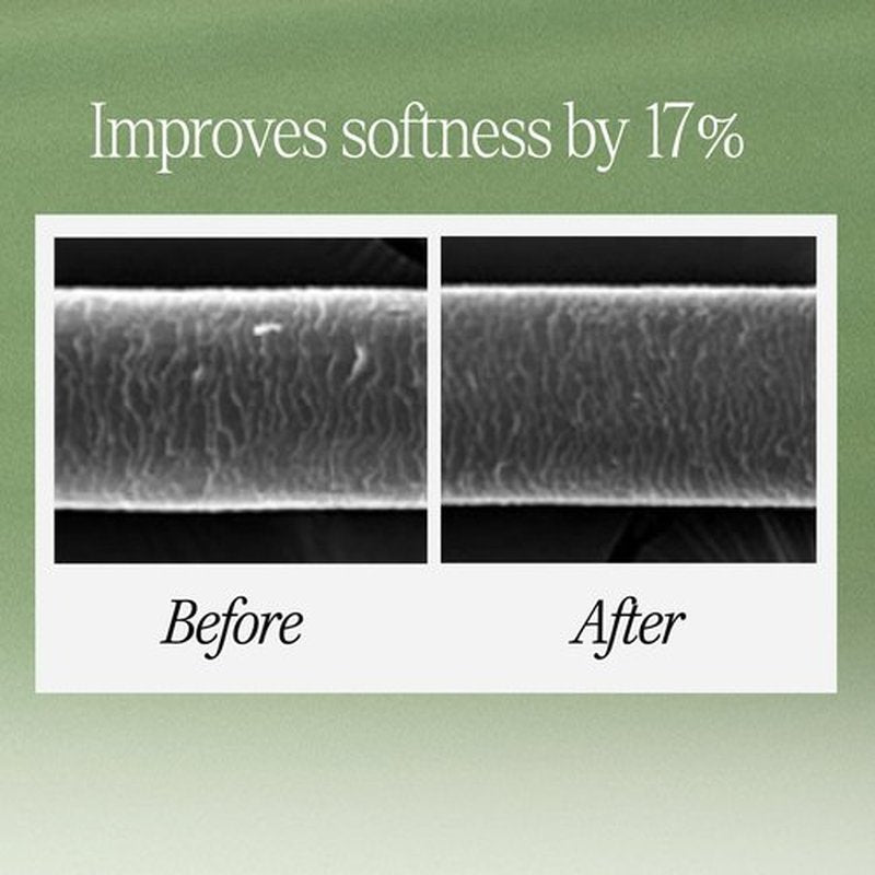 LONGTAKE Sandalwood Intensive Hair Perfume Clarifying Shampoo 10.1 Fl Oz, 300MLㅣVolumizingㅣAnti-frizzㅣImproves softnessㅣFor All Types