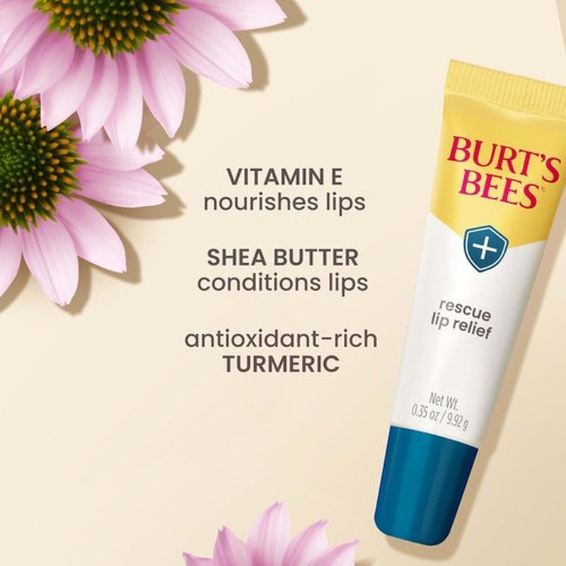 Burt's Bees Lip Relief - 100% Natural Shea Butter & Echinacea Formula | 0.35 Ounces