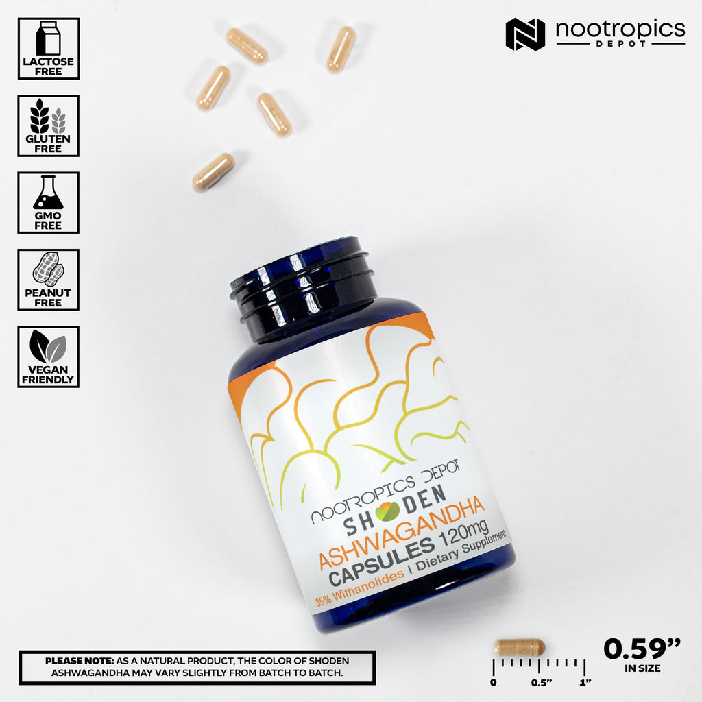 Nootropics Depot Shoden Ashwagandha Extract Capsules | 120mg | 90 Count | 35% Withanolides