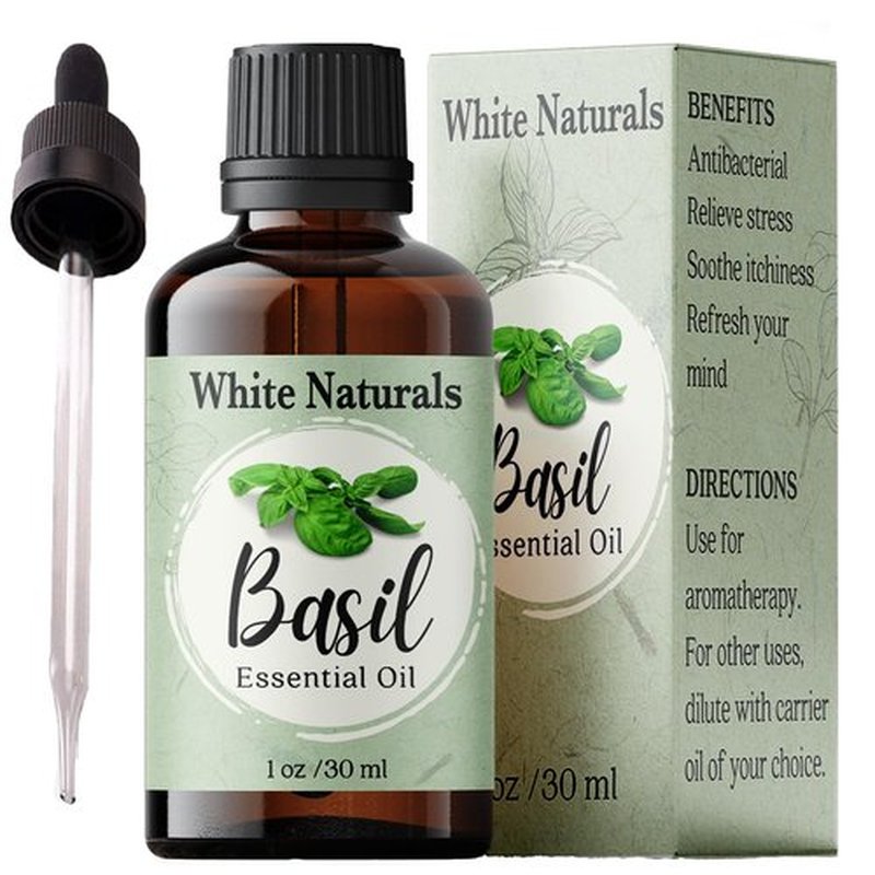 Basil Essential Oil,100% Pure & Natura, Therapeutic Grade Basil Oil for Aromatherapy, Great for Skin, Massage, Diffuser Candle & Soap Making, Plant Therapy 1 oz Bottle with Dropper