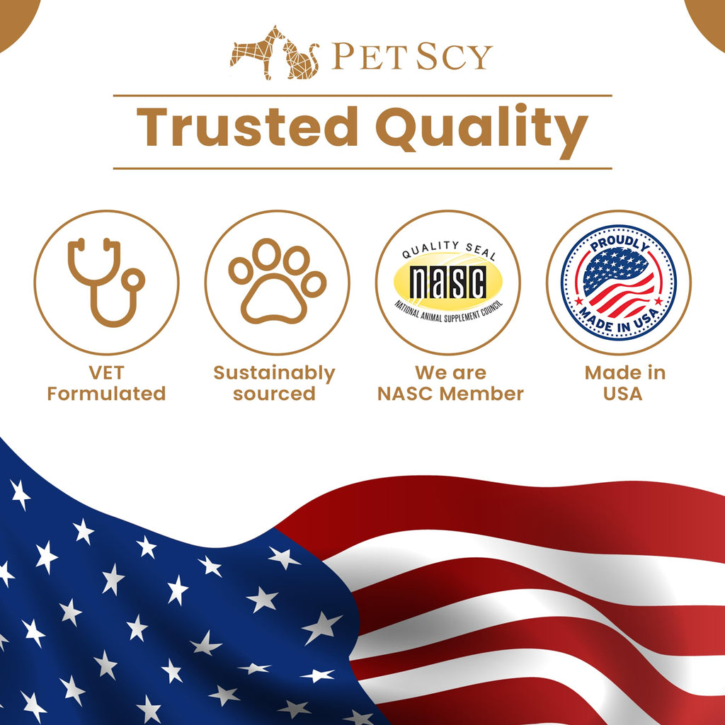 Petscy Keto Skin Relief Mousse for Dogs & Cats – 2% Chlorhexidine & 1% Ketoconazole – No-Rinse, Non-Greasy Mousse for Itchy, Dry, or Irritated Skin – Soothing Aloe, Easy Application - 7 fl oz