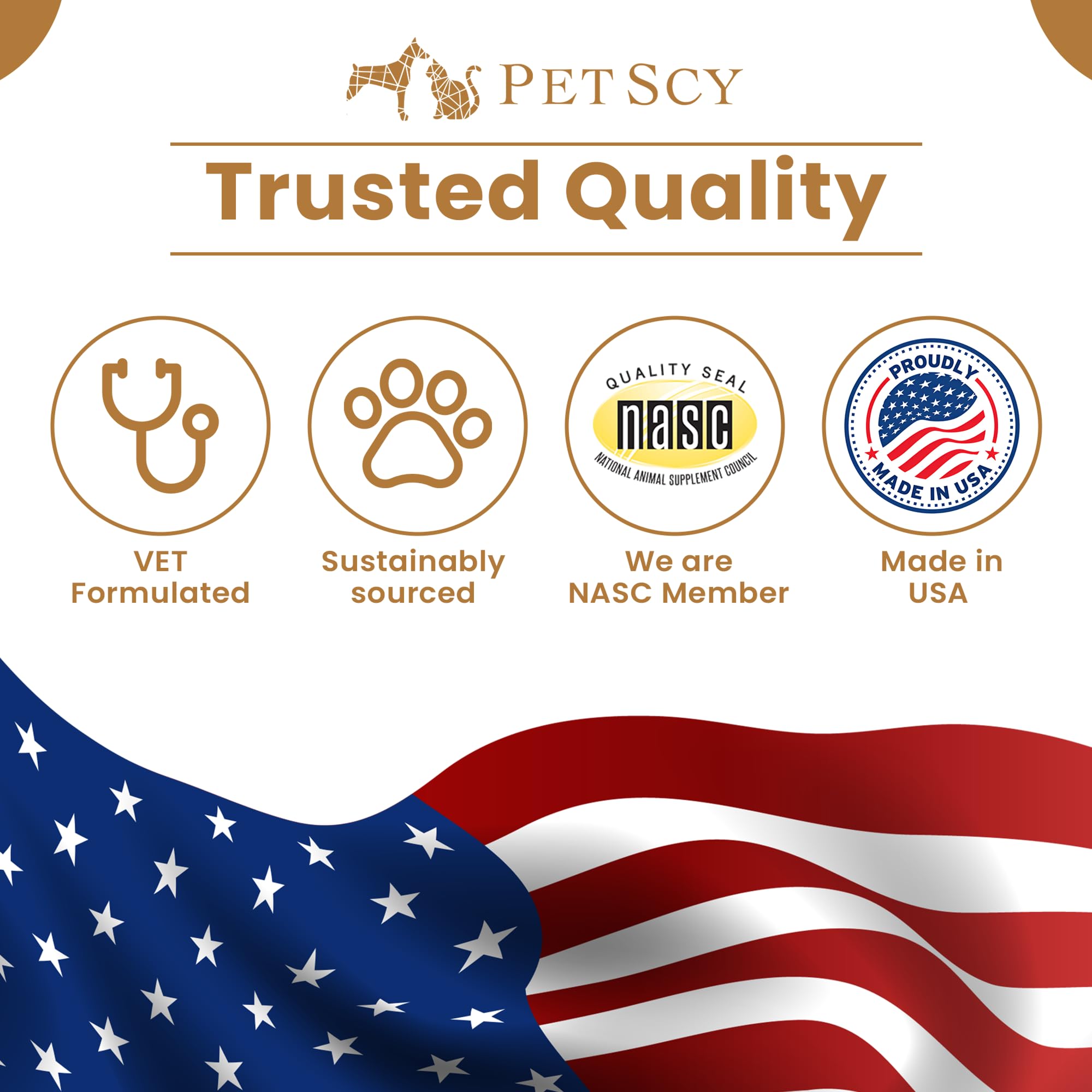 Petscy Keto Skin Relief Mousse for Dogs & Cats – 2% Chlorhexidine & 1% Ketoconazole – No-Rinse, Non-Greasy Mousse for Itchy, Dry, or Irritated Skin – Soothing Aloe, Easy Application - 7 fl oz