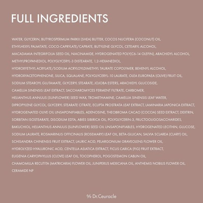 leegeehaam Dr.Ceuracle Vegan Kombucha Tea Sleeping Mask - Hydrating Overnight Face Mask with Niacinamide, Bakuchiol, Ceramide, Korean Skincare (100 g / 3.52 oz.)