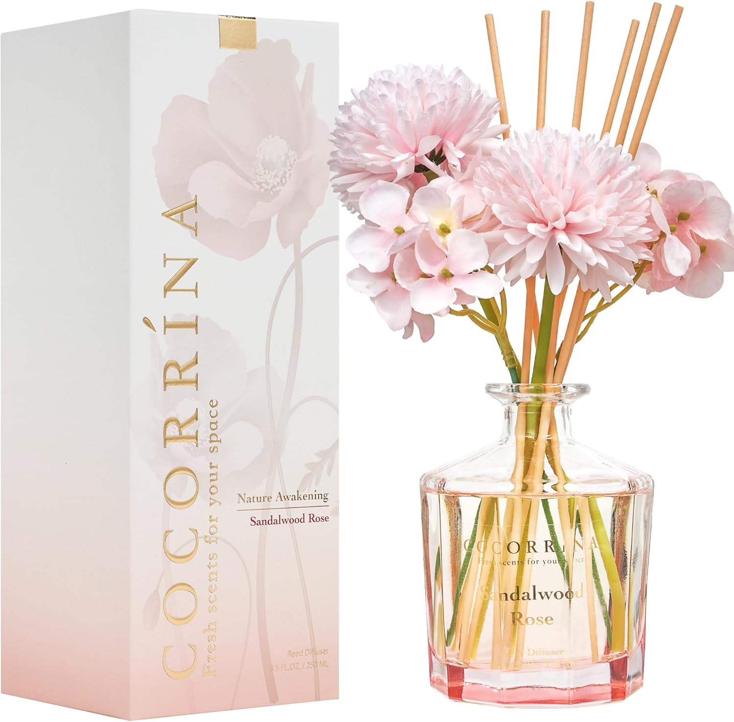 COCORRÍNA Reed Diffuser - Sandalwood Rose Home Fragrance Set | 8.5 Fl. Oz with 8 Sticks for Bedroom & Office Decor
