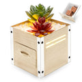 gengxinda GXD Artificial Succulent Plants Wax Melt Warmer, Electric Wax Warmer with Translucent Glass, Flameless Fragrance Warmer for Scented Wax, Home Office Decor & Birthday Gifts for Women
