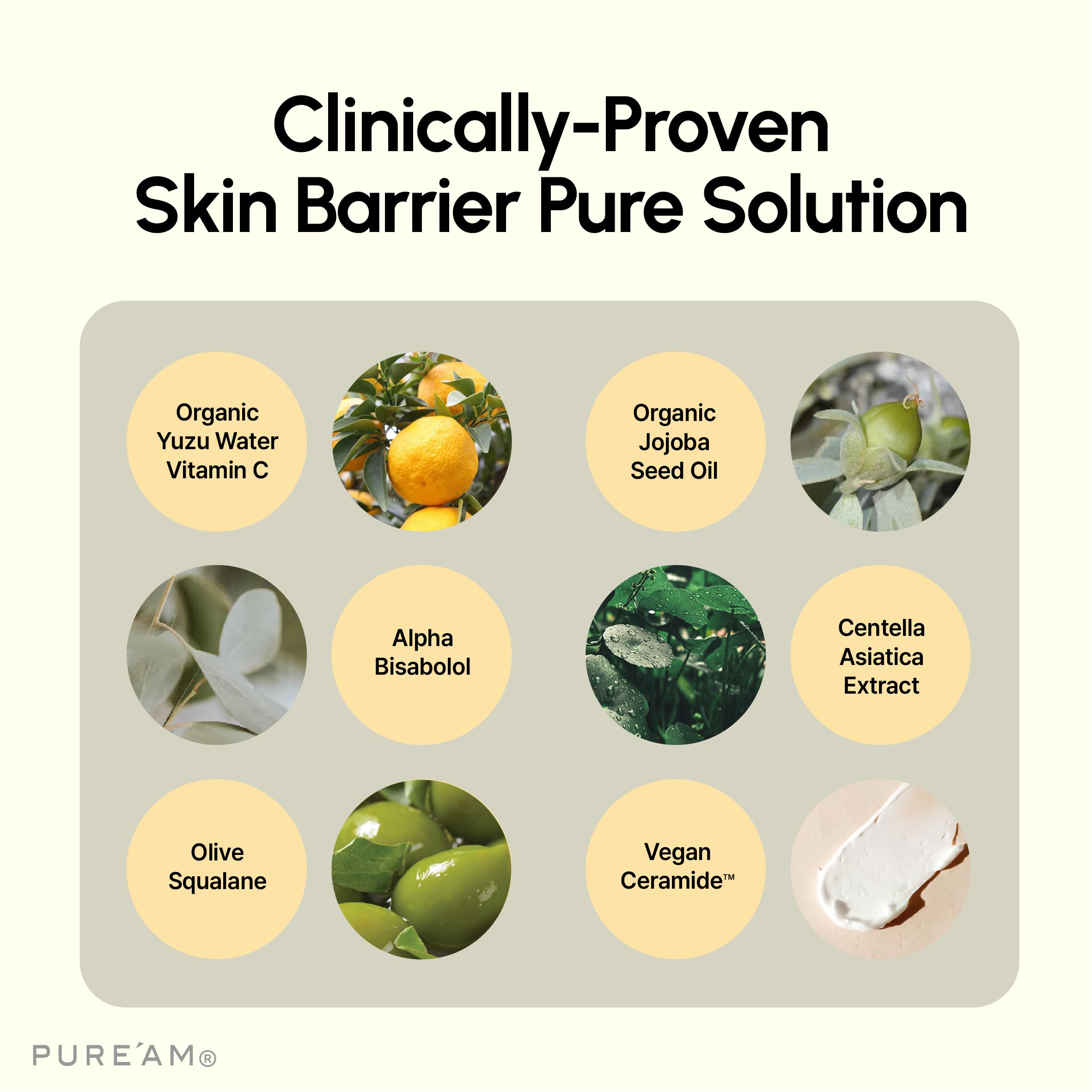 PURE'AM - Korean Barrier Repair Moisturizer Cream For Dry & Sensitive Skin - Hydrating Face Balm - 30ml (1.0 Fl Oz)