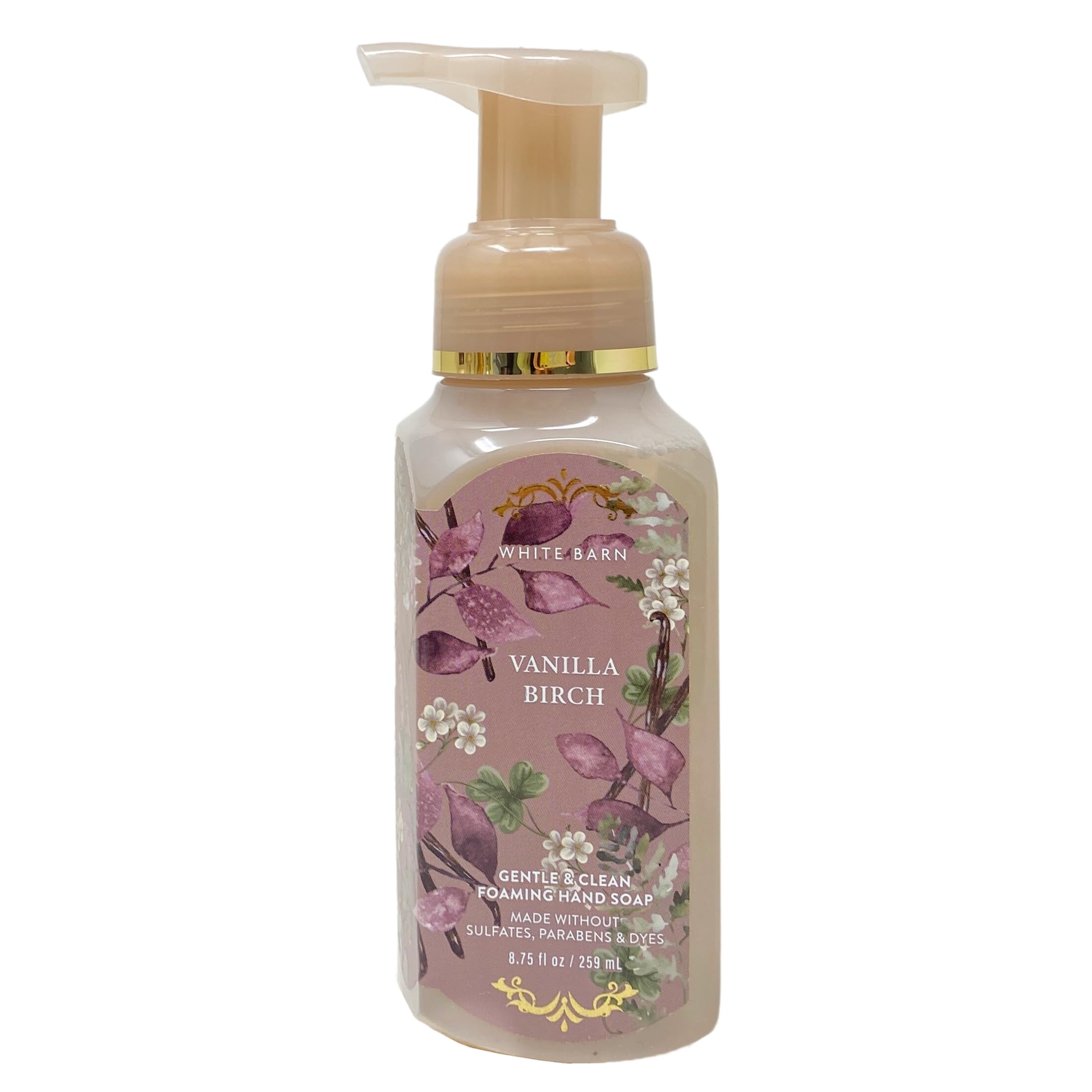 Bath & Body Works Vanilla Birch 2-Pack Gentle & Clean Foaming Hand Soap Bundle with a Natural Oats Sample Soap