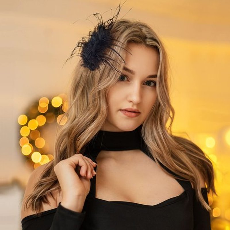 OIIKI 2Pcs Black Ostrich Hair Clip, Feather Hairgrip Retro Hair Jewelry Accessories for Women Bride Party Festival Valentine Wedding Engagement Birthday Christmas