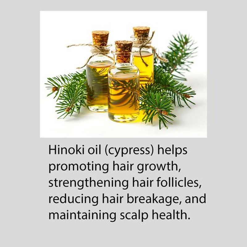 Hayashi Hinoki Shampoo - Nourishing Formula for Healthy Hair | 10.1 Fl Oz