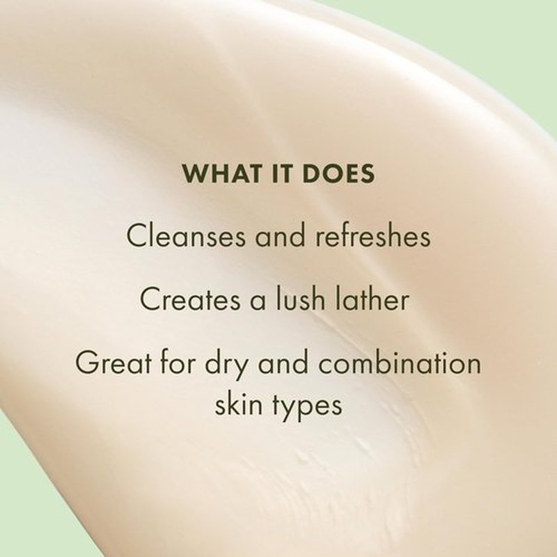 Origins A Perfect World Antioxidant Cleanser - Hydrating Formula for Dry & Combination Skin | 5 Fl Oz