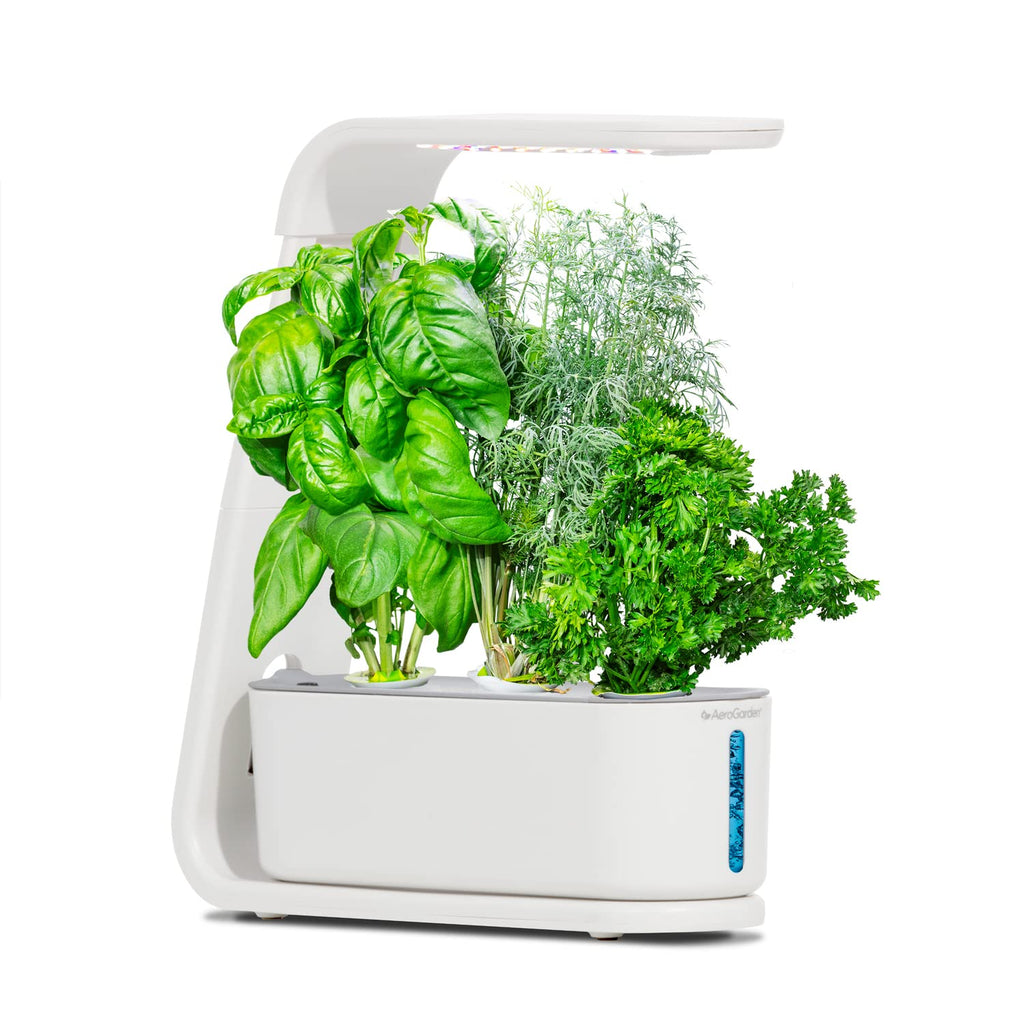 AeroGarden Gourmet Herb Seed Pod Kit, 3-Pod