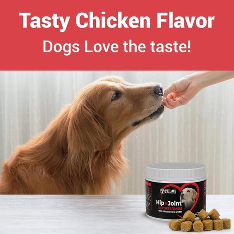 3-in-1 Advanced Dog Hip & Joint Supplement - Tasty Soft Chews with Glucosamine & MSM for All Breeds - Chicken Flavor