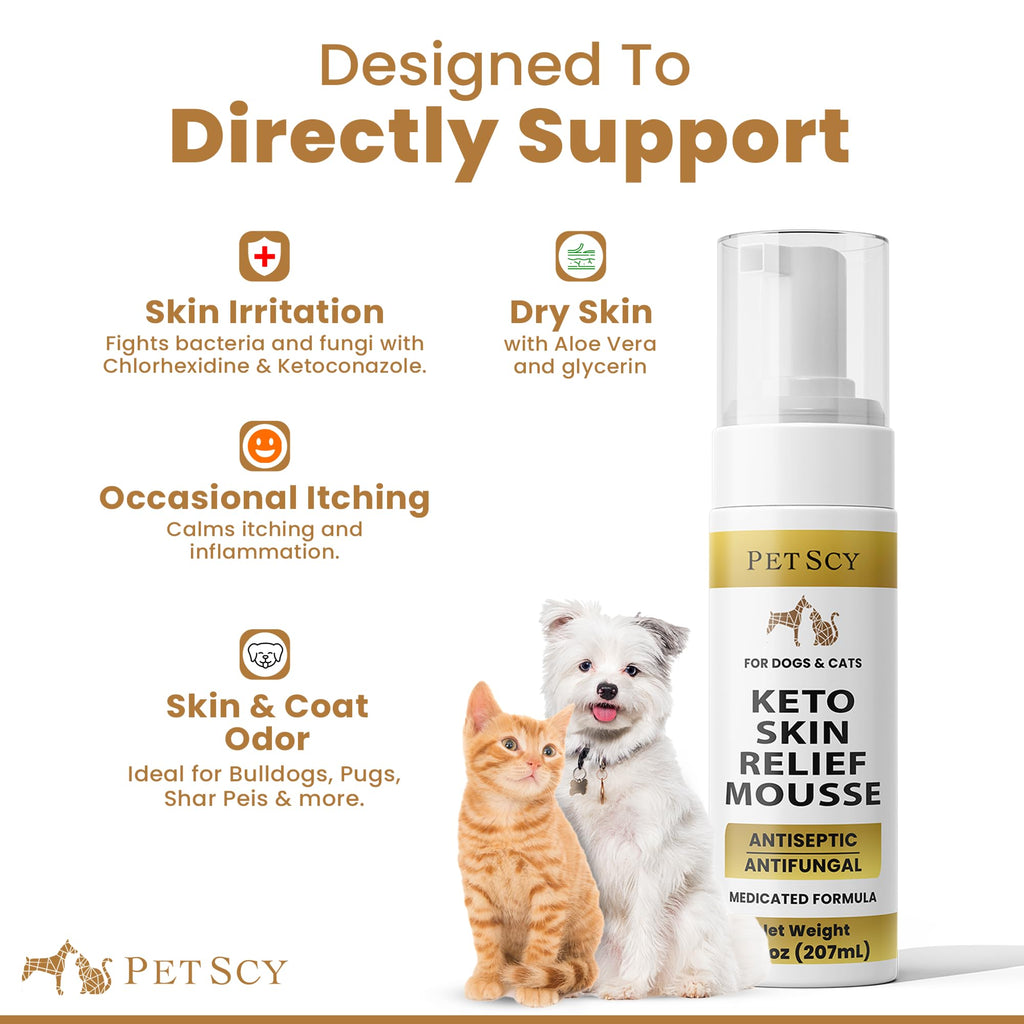 Petscy Keto Skin Relief Mousse for Dogs & Cats – 2% Chlorhexidine & 1% Ketoconazole – No-Rinse, Non-Greasy Mousse for Itchy, Dry, or Irritated Skin – Soothing Aloe, Easy Application - 7 fl oz