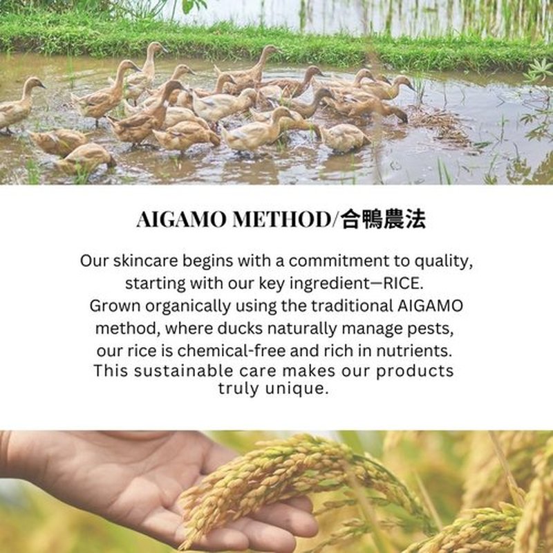 SWANESS Clear Oil Cleanser - Japanese Anti-Aging Makeup Remover with Rice Power for Radiant Skin