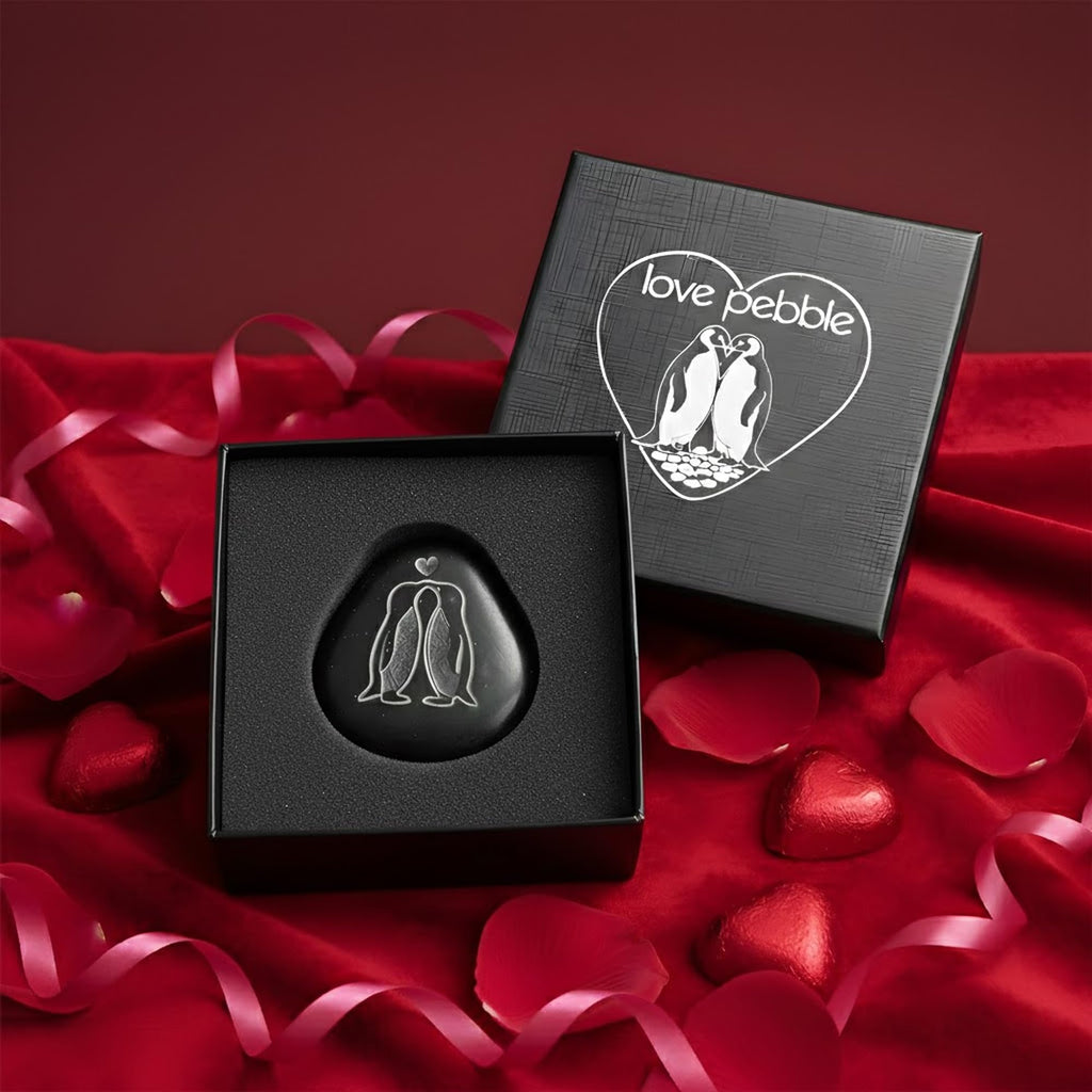 Faythory Cute Penguin Love Pebble – Romantic Penguin Stone Gift for Boyfriend, Girlfriend,Husband Wife or Fiancé, “I Love You” & “Will You Marry Me” Proposal Keepsake, for Him Her Men Women