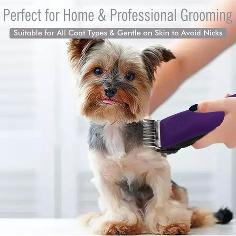 Professional A5-Style Animal Clipper Stainless Steel Color-Coded Snap-on Attachment Guard Guide Comb, 1/8"-1" Compatible with Wahl KM Series Oster A5 Andis Detachable Blade Pet Dog Groomers (#3-3/8")