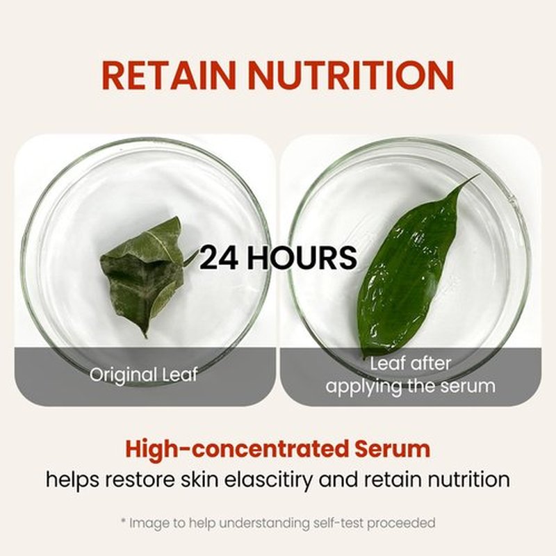 the SKIN HOUSE Wrinkle Supreme Serum 0.67 fl. oz. Trial-Size, Korean Red Ginseng, Mushrooms | Firming, Lifting, Fine Lines | Korean Skin Care, K-beauty, 20ml