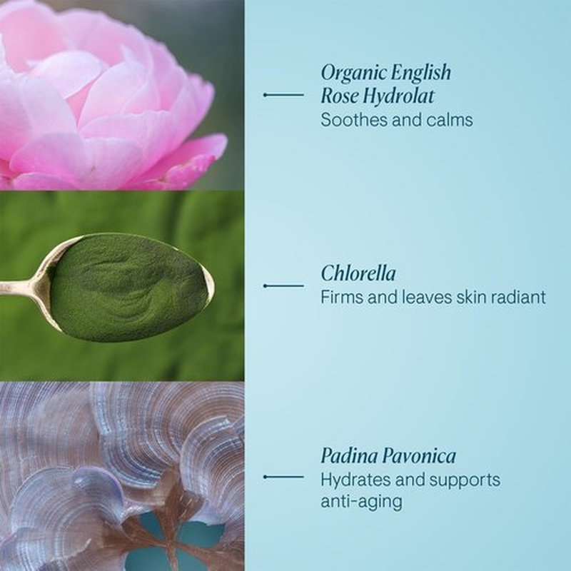 ELEMIS Pro-Collagen Rose Marine Cream - Anti-Aging Moisturizer for Radiant Skin | 50ml