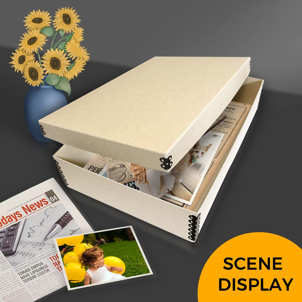 Golden State Art, Archival Drop Front Storage Box, Tan-11.75x17.75x3.75 In