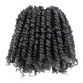 KAVSORAPI Passion Twist Hair,6 Inch Passion Twist Braiding Hair,Short Pre Looped Crochet Twist Jumbo Pre-twisted Two Strand Braids 8 Packs (Salt and Pepper)