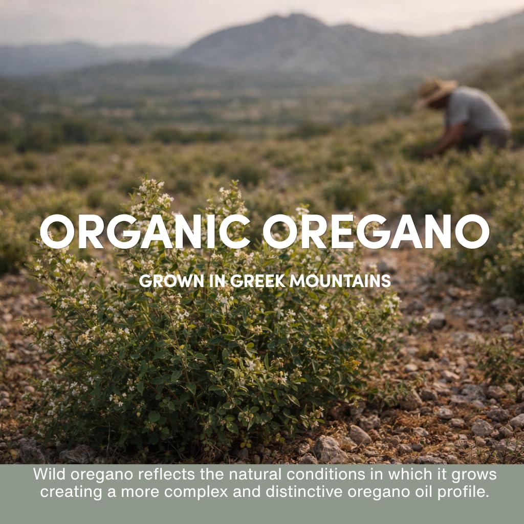AROMAVITA Wild Oregano Oil Organic - 100% Pure Undiluted Organic Wild Oregano Oil with 86-90% Carvacrol, Immune Support - Plant-Based, Herbal Supplement - Vegan, Non GMO, Gluten Free, 1fl.oz/30ml