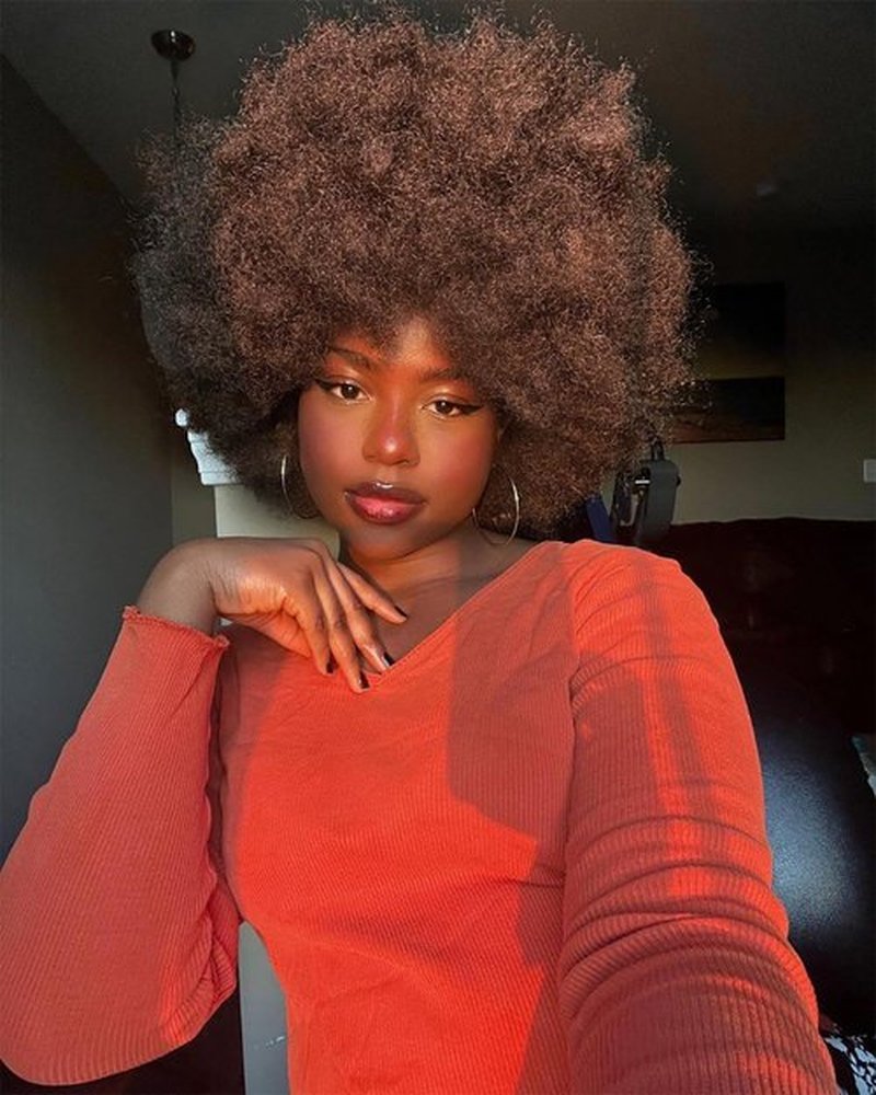 HIHOO Short Afro Wig with Bangs for Black Women Afro Kinky Curly Wig 70s Premium Synthetic Big Afro Wigs(Red Brown)