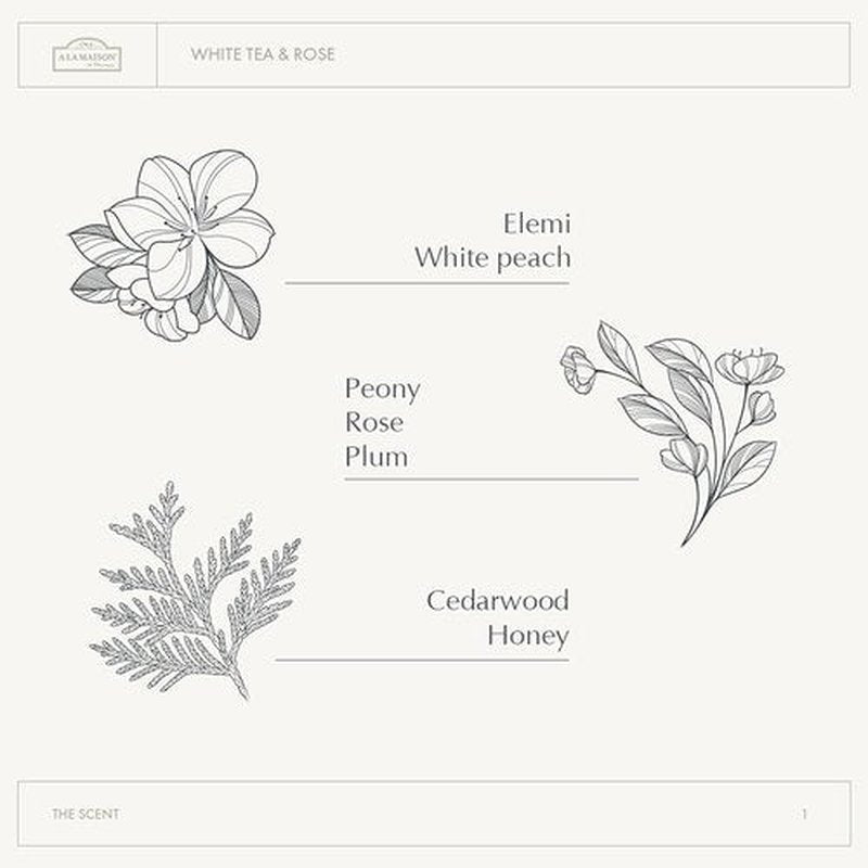 A LA MAISON Epsom Salt Bath Soak - White Tea & Rose - Muscle Relief with Magnesium - 20 oz