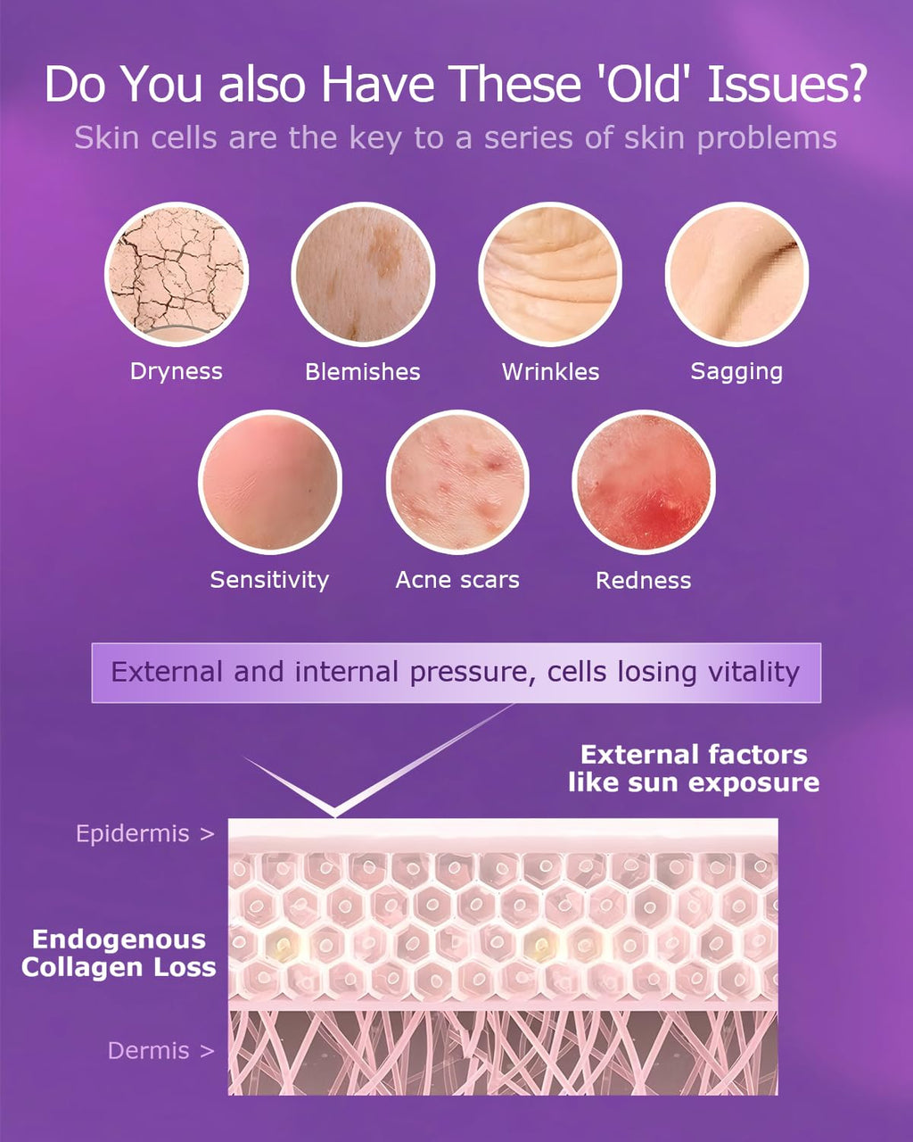 ESTHELIV Cellular Skin Recovery Supplement Hit The Root of Skin Aging PQQ Reduces Pigmentation and Wrinkles Improves Skin's Elasticity and Moisture Balance