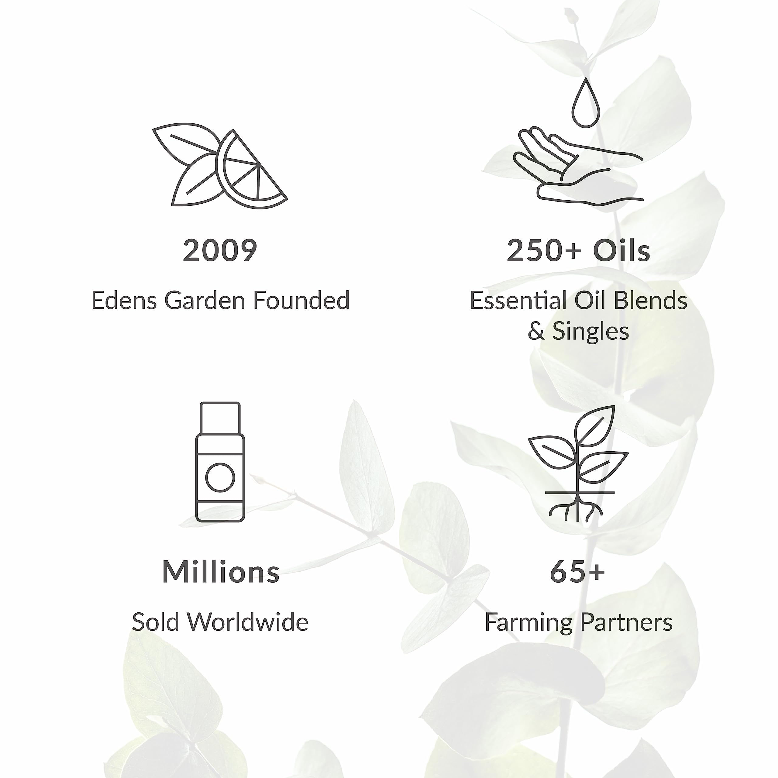 Edens Garden Evening Primrose Carrier Oil- 100% Pure Premium Cold Pressed & Hexane Free, Natural Antioxidant Rich Moisturizer For Face, Skin, Hair & Nail Care, Diluting Essential Oils 118 ml (4 fl oz)