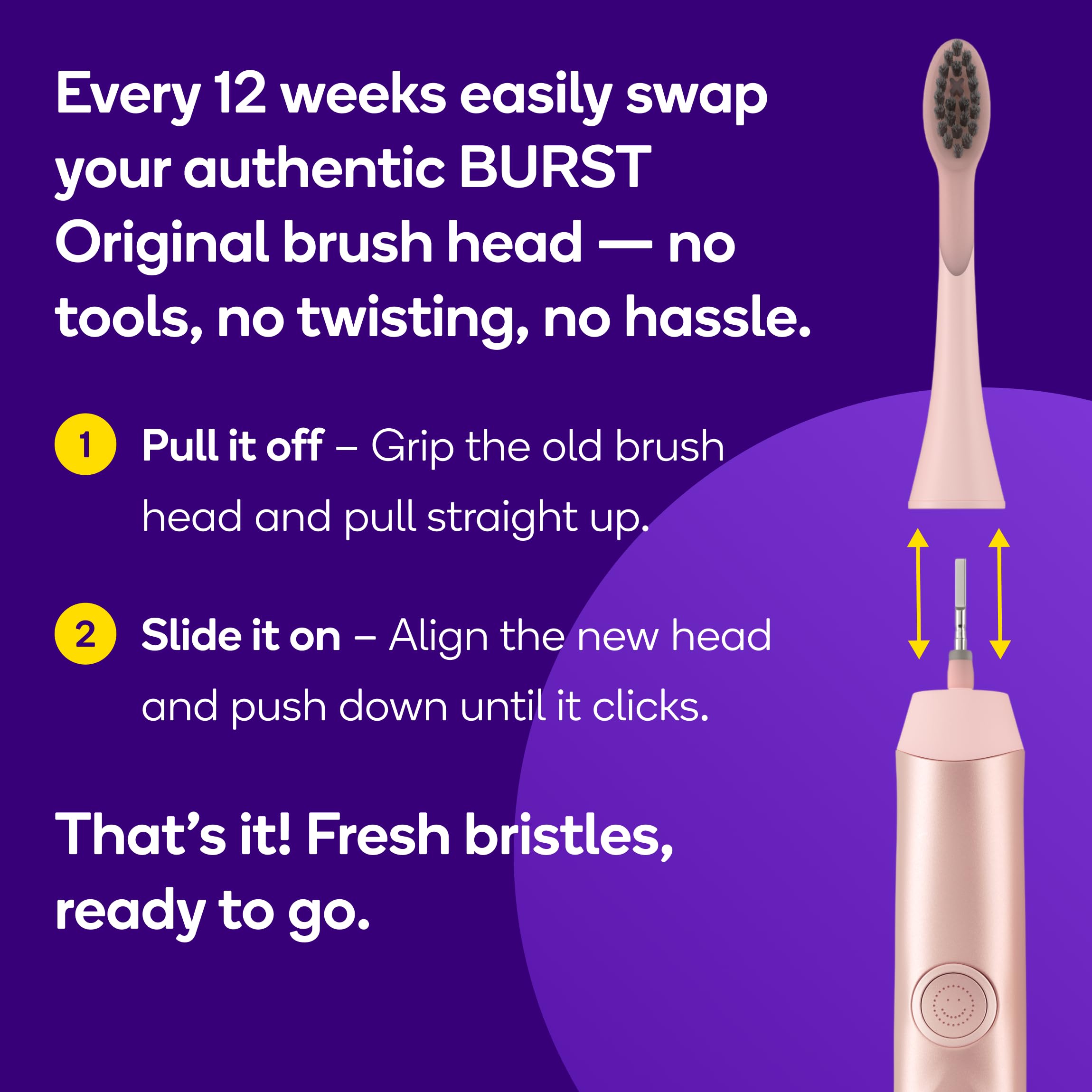 BURST Genuine Replacement Heads for Original Sonic Toothbrush (Rose Gold)