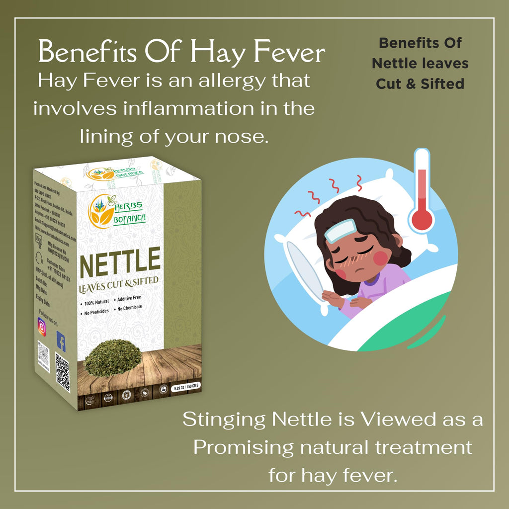 Herbs Botanica Nettle Leaf for Tea Cut and Sifted for Nourishing Herbal Tea, Smoothies Infusions, Stinging Nettle Leaf Ortiga Wellness Supplement Vegan Non GMO 5.29 oz