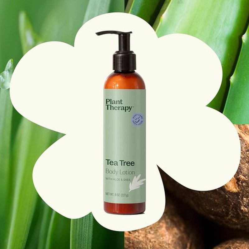 Plant Therapy Tea Tree Body Lotion - Hydrate & Nourish Skin with Aloe & Shea, 8 oz