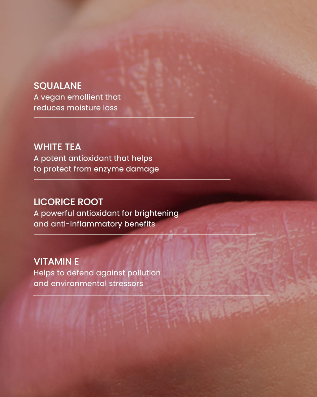 Retrouvé, Hydrating Lip Serum