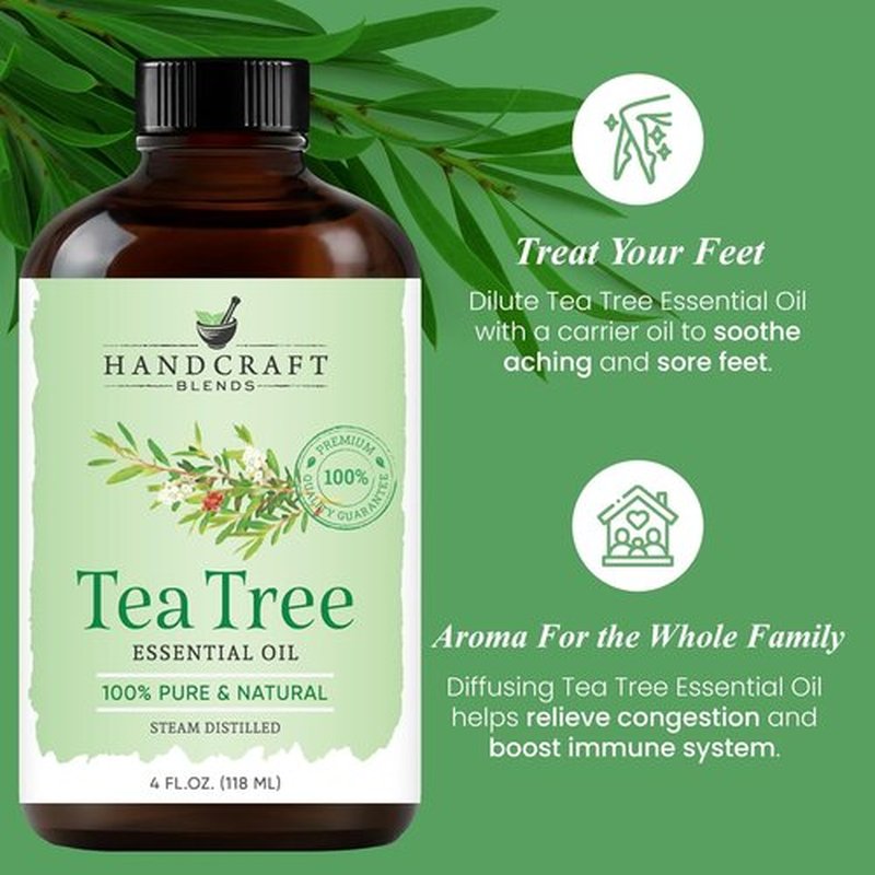 Handcraft Blends Tea Tree Essential Oil - 100% Pure & Natural - 4 Fl Oz for Diffusers, Aromatherapy & Skin Care