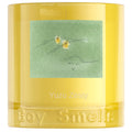 Boy Smells Yuzu Zesty Scented Candle – 8.5oz – Yuzu Zest, Ylang Ylang & Musk – Bright Citrus – Soy Wax Candle