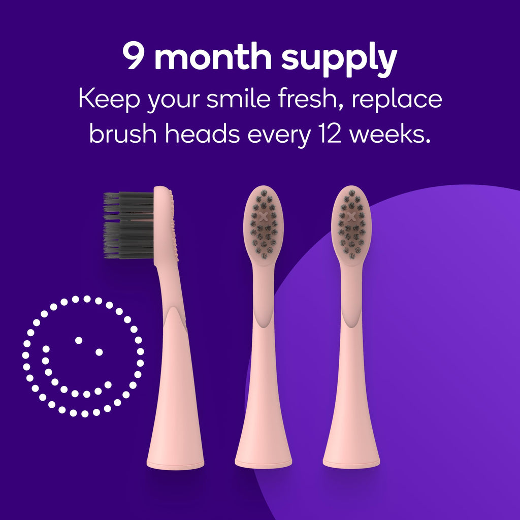 BURST Genuine Replacement Heads for Original Sonic Toothbrush (Rose Gold)