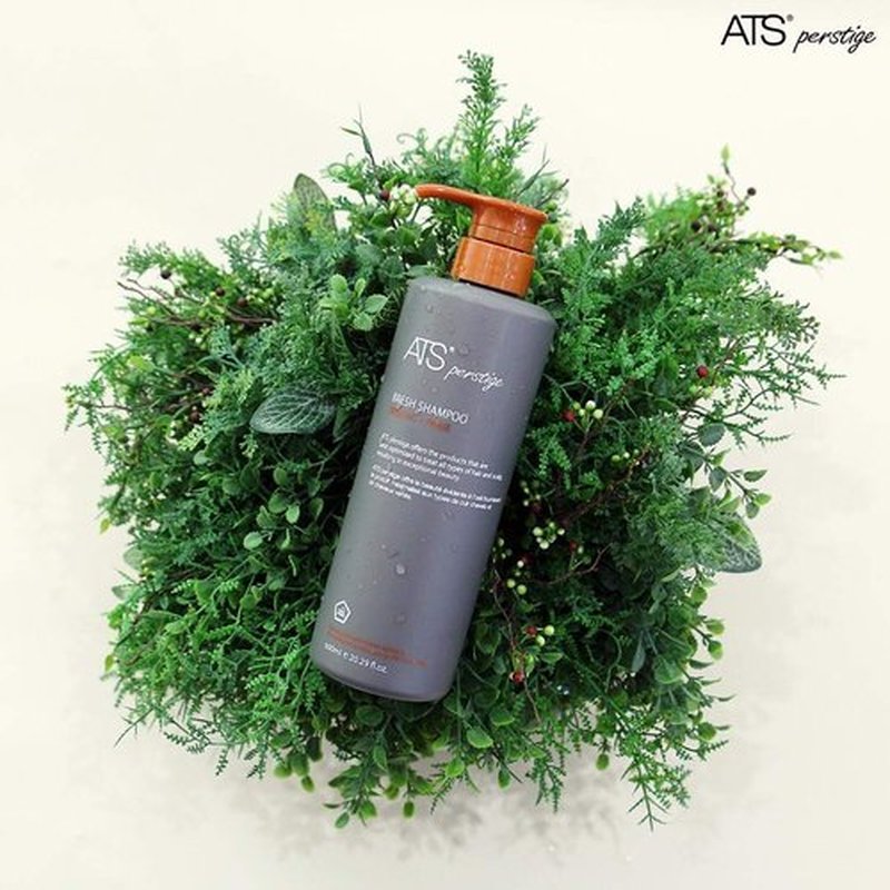 ATS Perstige Bresh Shampoo - 600ML | Silicone-Free Formula for Oily Scalp Care
