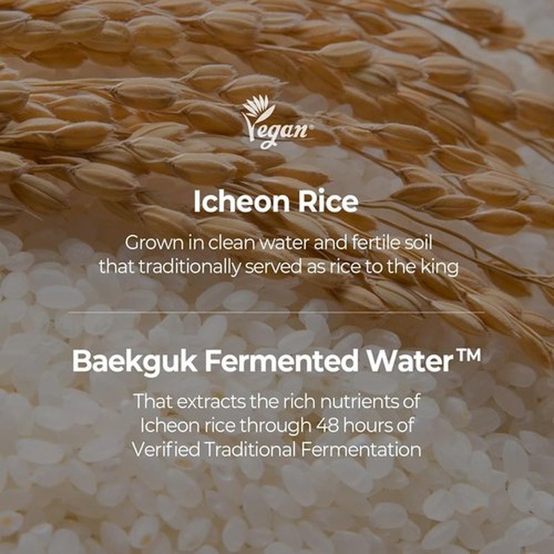 SKINFOOD Rice Daily Sheet Mask - Hydrating & Nourishing Vegan Face Mask with Rice Essence | 10 Pack for Radiant Skin