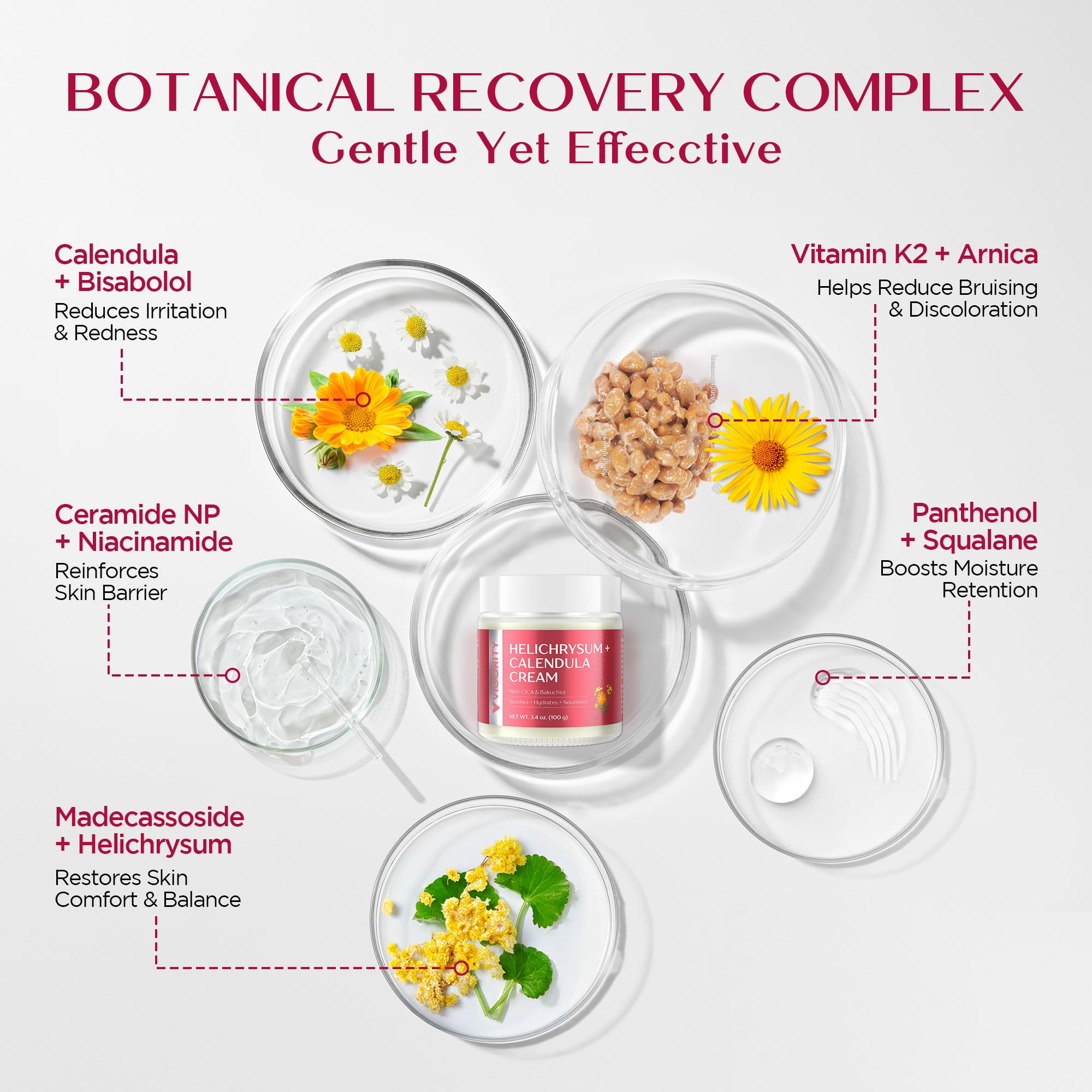 Vigority Calendula Cream: Soothes Calendula Cream for Mature, Thin & Fragile Skin with Helichrysum, Bakuchiol & CICA - Hydrates, Nourishes & Strengthens Skin Barrier - Non-greasy Fragrance Free 3.4oz