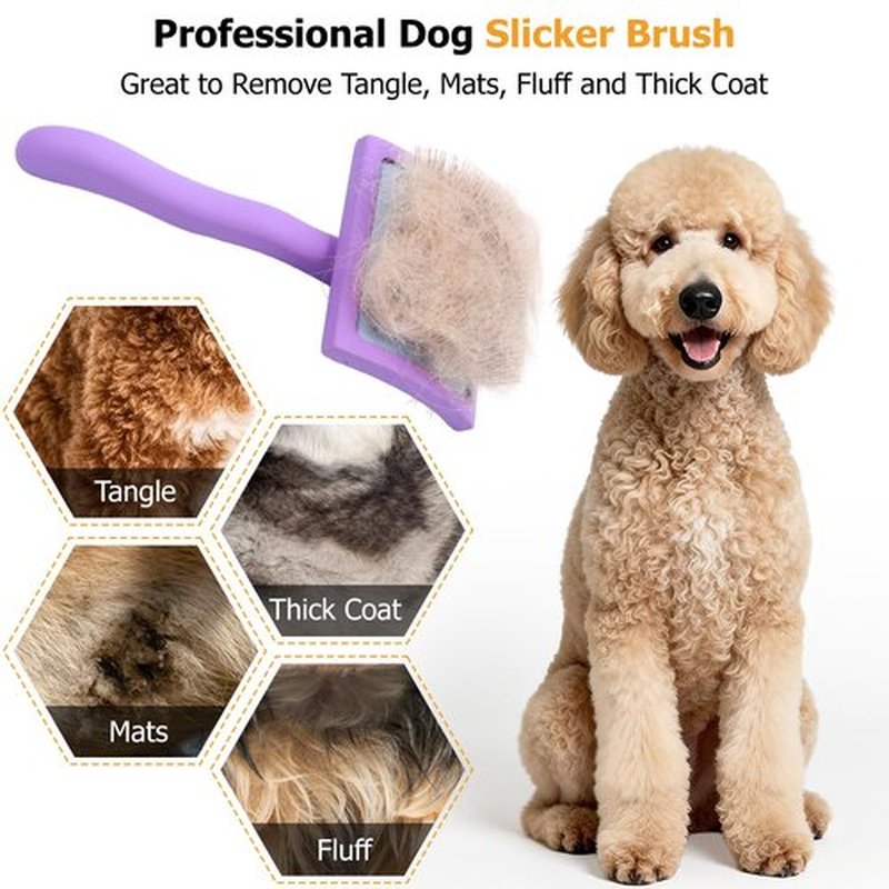 Homyneer Extra-Long Pin Slicker Brush for Large Dogs, Removes Tangles, Mats & Undercoat Fluff, Wood Handle, Grooming Tool for Poodle Goldendoodle Labradoodle & Thick-Coat Breeds, Purple