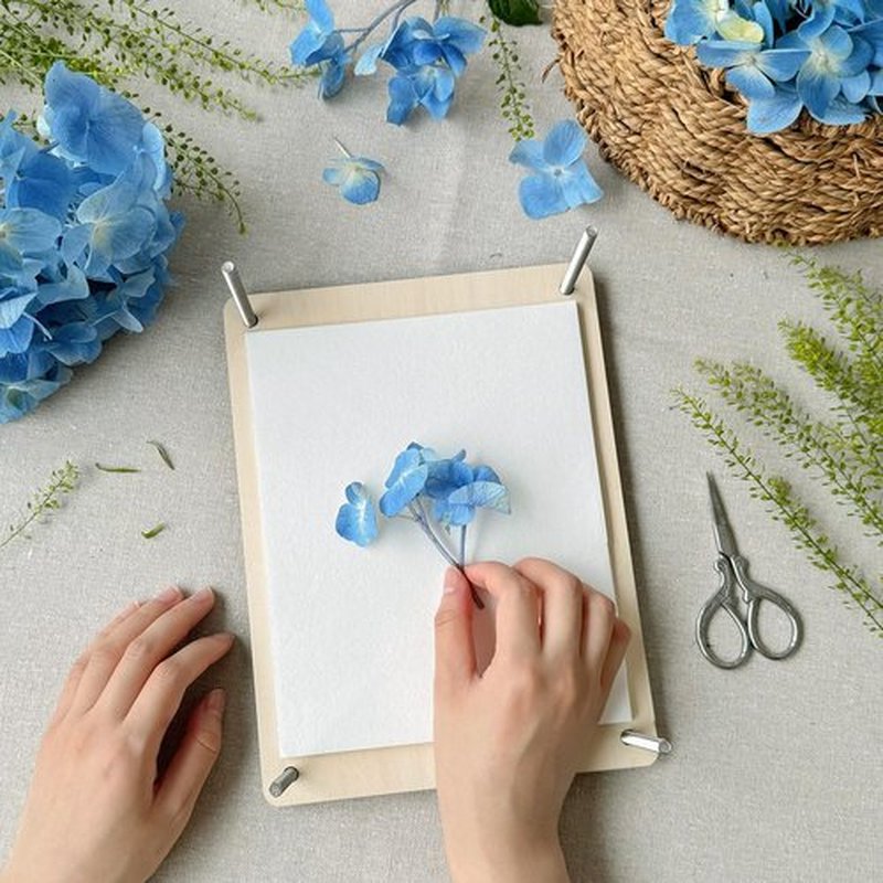 Happinit 20 Sheets A4 Size Blotting Paper for Flower Press, Large Blotter Paper, Herbarium Paper Craft, Working With Flower Pressing Kit for Adults