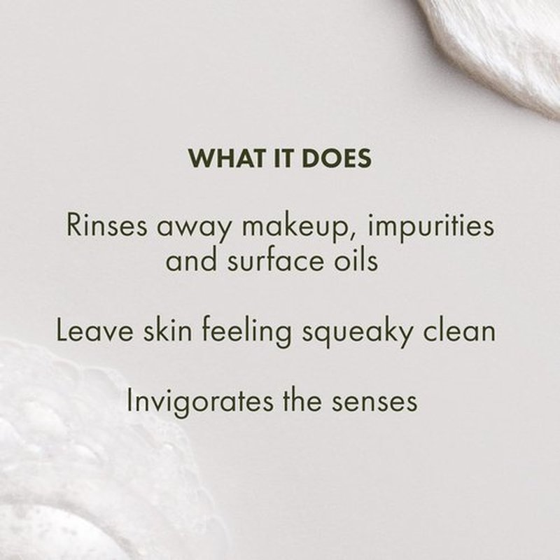 Origins Checks and Balances Frothy Face Wash - Gentle Cleanser for All Skin Types with Mint