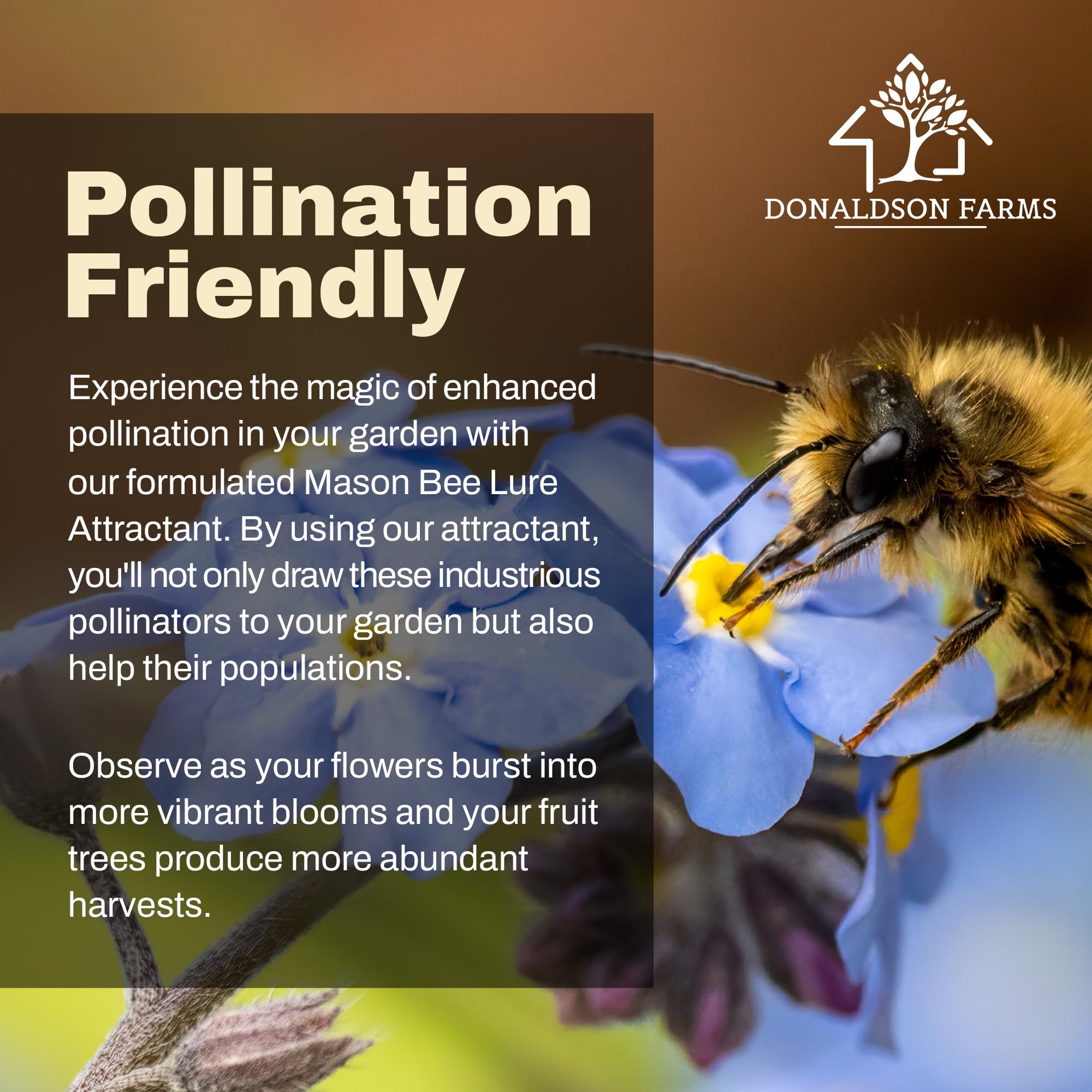 Donaldson Farms Mason Bee Attractant Spray – Made with Natural Lemongrass Oil to Lure Pollinating Bees, Easy to Use Garden Spray for Bee Houses, Nests, Flowering Plants & Fruit Trees – 2 oz