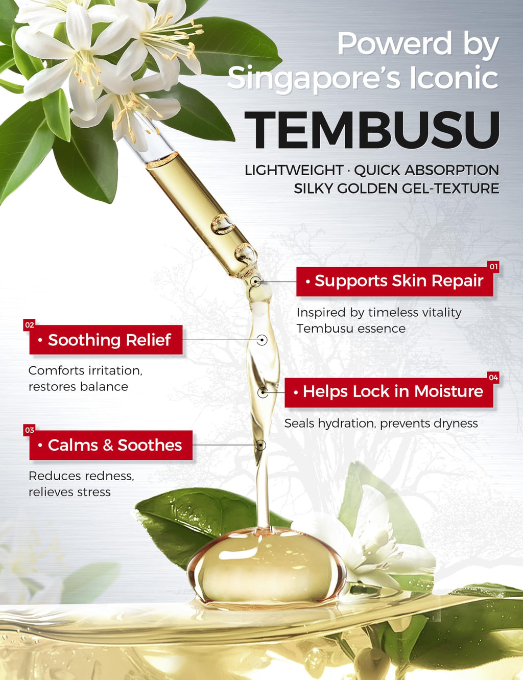 NING DERMOLOGIE Salicylic Acid 2% Serum: Pore Minimizer & Acne Treatment for Face with AHA PHA Tranexamic Acid Niacinamide & Tembusu Extract | Exfoliant for Acne & Blemish Skin | Oil Control | 1 FL OZ