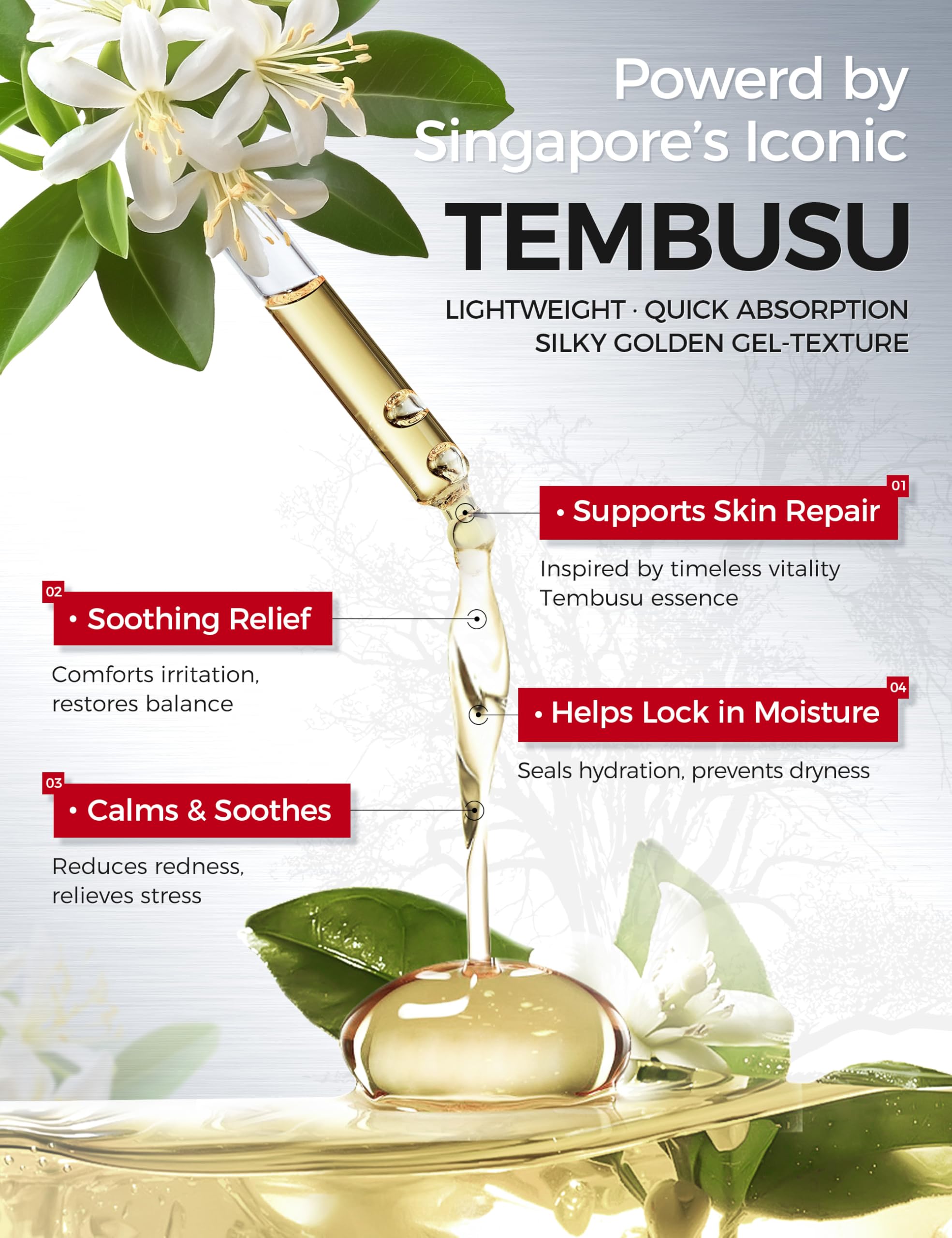 NING DERMOLOGIE Salicylic Acid 2% Serum: Pore Minimizer & Acne Treatment for Face with AHA PHA Tranexamic Acid Niacinamide & Tembusu Extract | Exfoliant for Acne & Blemish Skin | Oil Control | 1 FL OZ