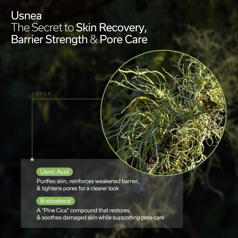 usnear FOREST Wrapping Layer Cream - PDRN & Bakuchiol Face Cream for Elasticity, Firming & Radiance - Korean Skincare for Sensitive Skin, 1.69 fl oz