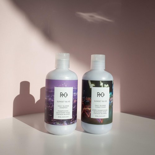 R+Co Sunset Blvd Daily Blonde Conditioner - Nourishing Formula for Radiant Blonde Hair | 8.5 oz