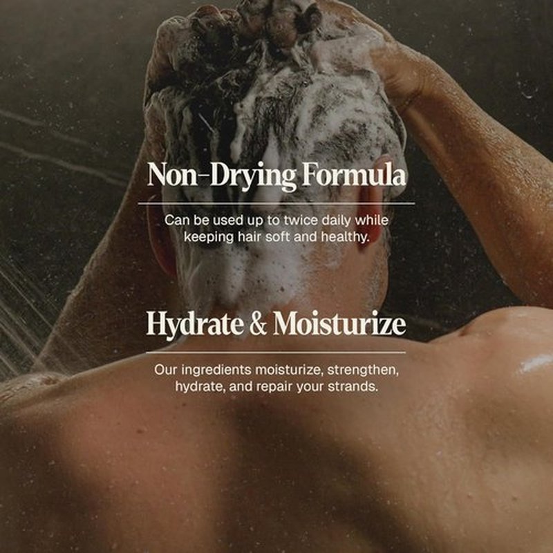 Black Wolf Men's Shampoo - Charcoal-Infused Oil Control for Oily Hair | 12 Fl Oz Hydrating Formula