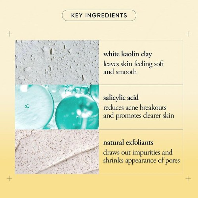 Philosophy Purity Made Simple Pore Extractor Clay Face Mask - Purifying White Kaolin Clay & Salicylic Acid for Clearer Skin