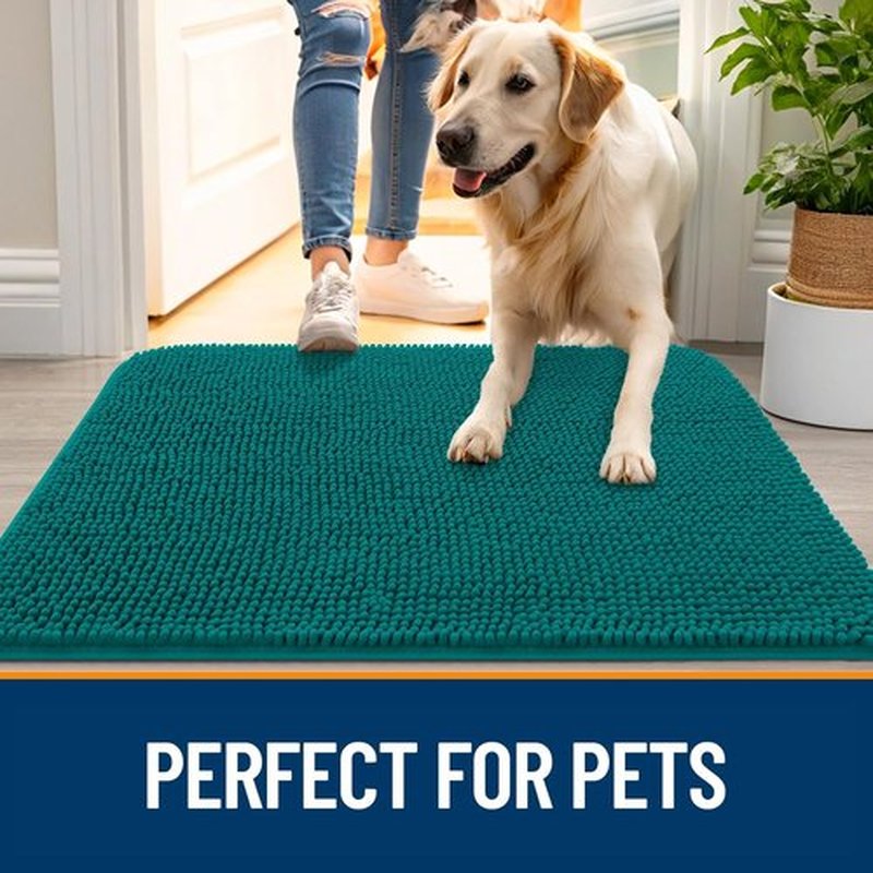 OLANLY Dog Door Mat - Absorbent Non-Slip Mud Mat for Indoor Use | Quick Dry Chenille, 59x35, Lake Blue